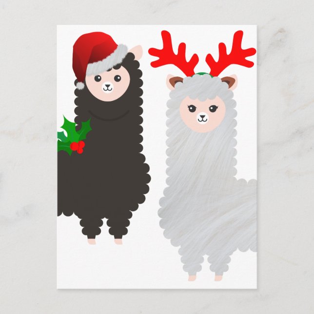 Postal Festiva Resto de los navidades alpacas (Anverso)