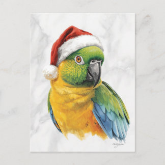 Postal Festiva Retrato de loro vibrante con sombrero de Santa