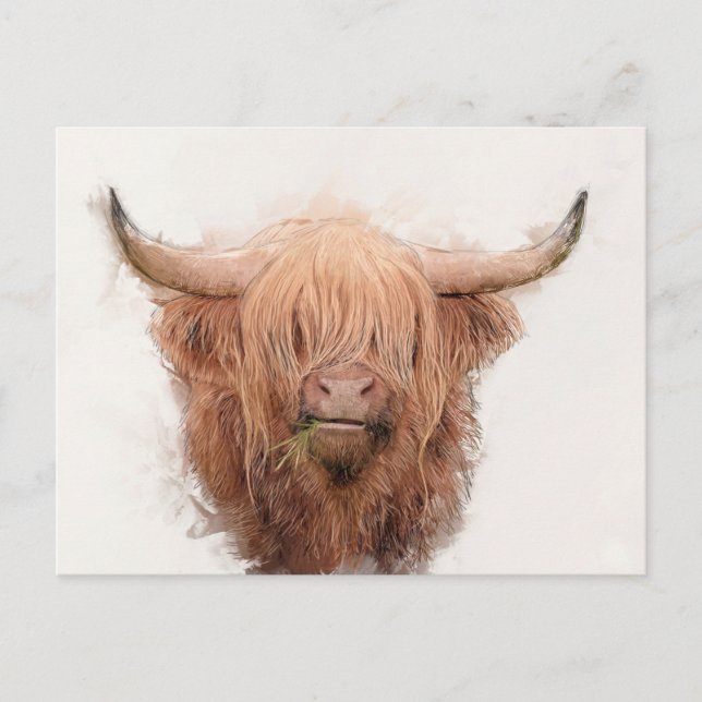Postal Festiva Retrato de vaca Highland (Anverso)