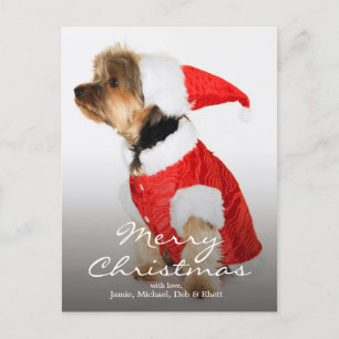 Postal Festiva Retrato de Yorkshire Terrier usando Santa Hat