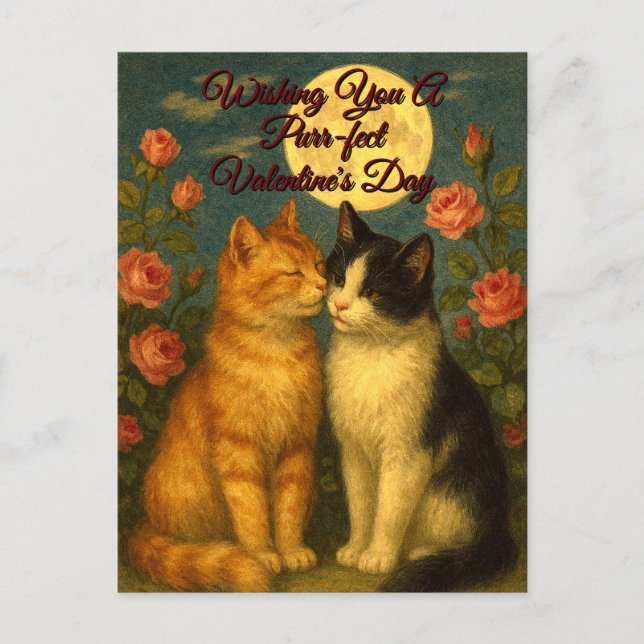 Postal Festiva Retro Cats Valentine's Day Holiday Postcard (Anverso)