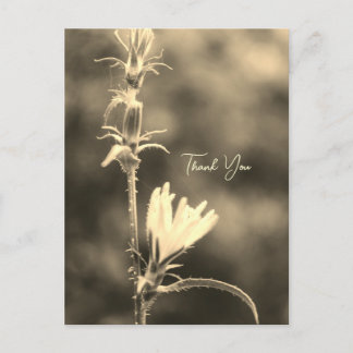 Postal Festiva Romantic Trees & Flowers – Botanical Fantasy Poem 