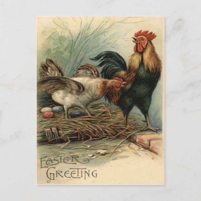Postal Festiva Rooster Hen Easter Colored Painted Egg Nest (Anverso)