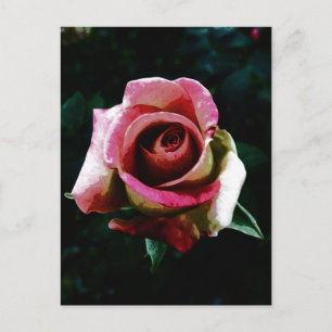 Postal Festiva Rosa Pintada al Óleo