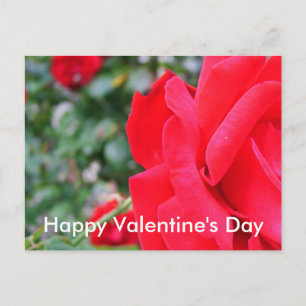Postal Festiva Rosa roja, feliz día de San Valentín