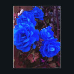 Postal Festiva Rosas de azul eléctrico<br><div class="desc">Rosas azules eléctricos en el jardín de Rosas. Rosario floreciente. Un hermoso rosa azul simboliza el misterio o el logro del amor imposible y verdadero.</div>