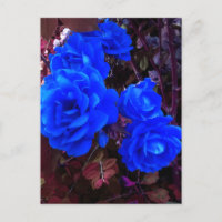 Rosas de azul eléctrico