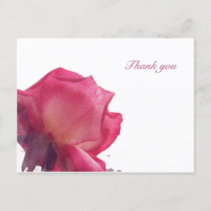 Postal Festiva Rosas Rosadas. Ilustracion floral