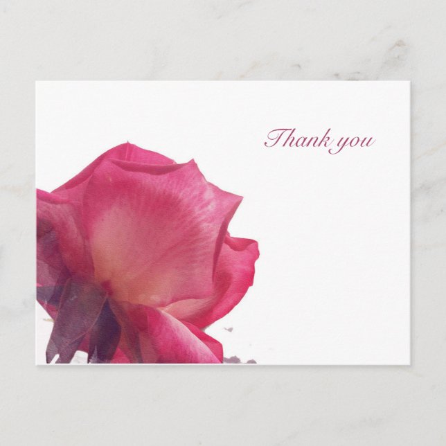 Postal Festiva Rosas rosadas. Ilustración floral (Anverso)