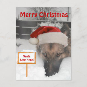 Postal Festiva Rótulo Postcard German Shepherd Santa Stop Here