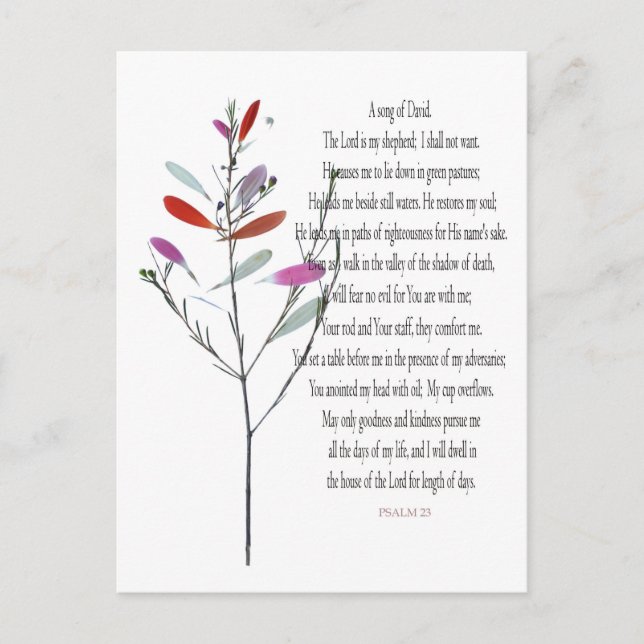 Postal Festiva Salmo 23, Postcarta verde de David (Anverso)