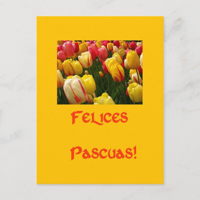 Postal Festiva saludo de Pascua amarillo de tulipanes mixtos en e (Anverso)