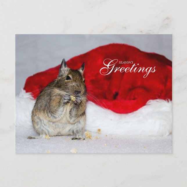 Postal Festiva Saludos de la temporada de Degu y Santa Hat (Anverso)