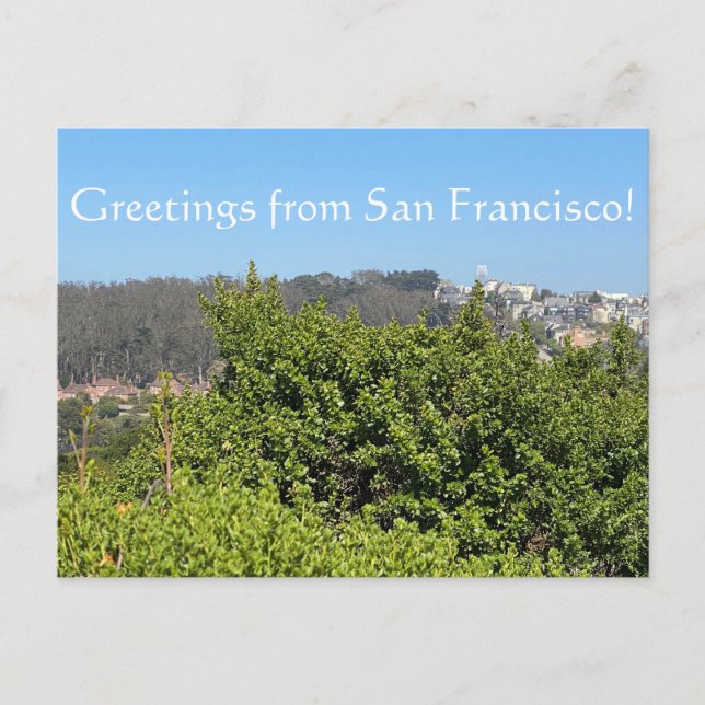 Postal Festiva ¡Saludos desde San Francisco! (Anverso)