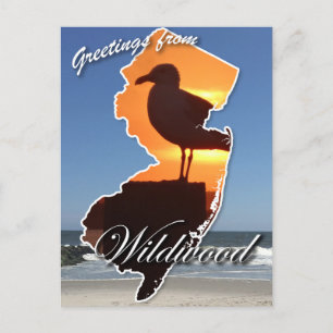Postal Festiva Saludos desde Wildwood