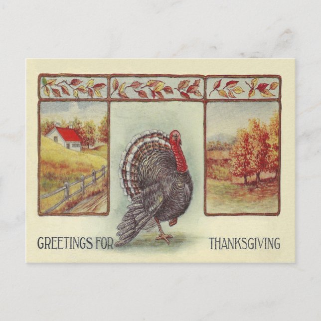 Postal Festiva Saludos Para El Día De Gracias (Anverso)
