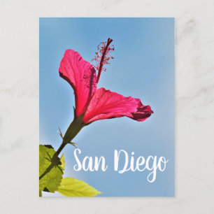 Postal Festiva San Diego Hibiscus
