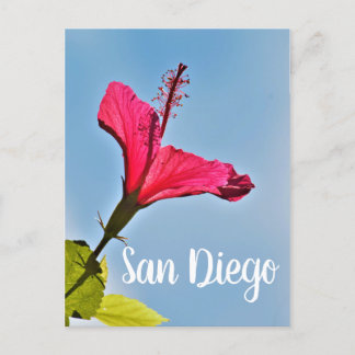 Postal Festiva San Diego Hibiscus