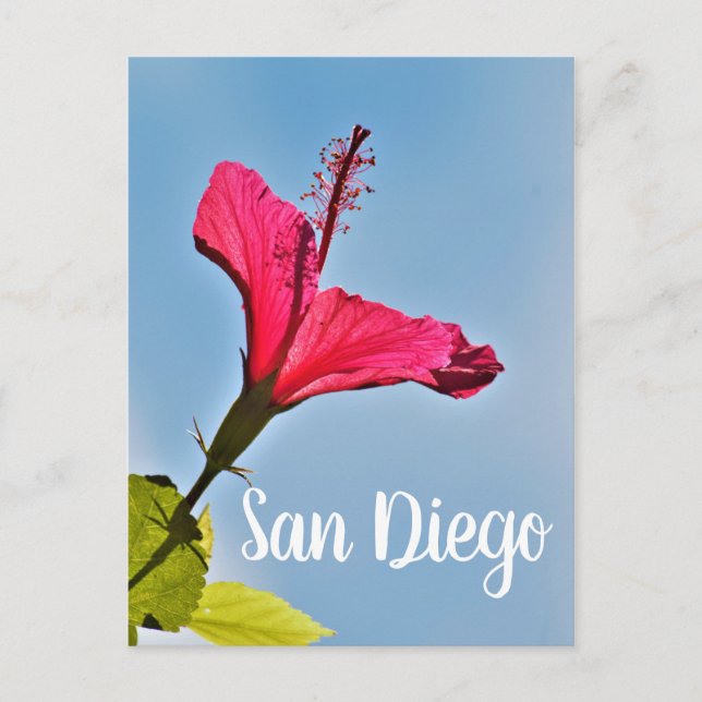 Postal Festiva San Diego Hibiscus (Anverso)