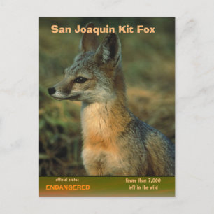 Postal Festiva San Joaquin Kit Fox está en peligro -