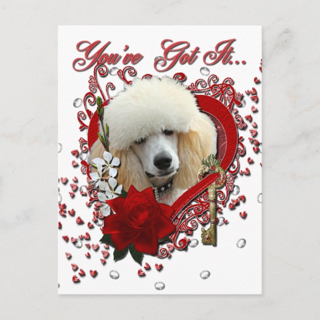 Postal Festiva San Valentín - Clave para mi corazón - Poodle - Ap (Anverso)