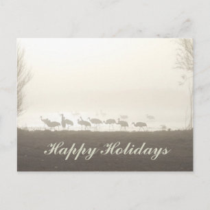 Postal Festiva Sandhill Cranes in the Mist Happy Holidays