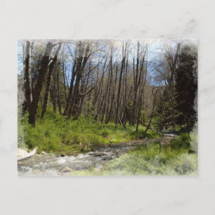 Postal Festiva Santa Ana en siete robles