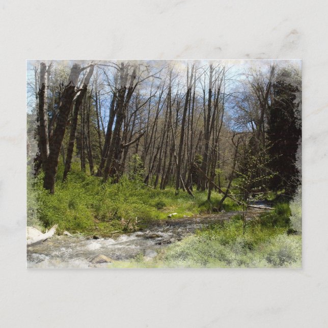 Postal Festiva Santa Ana en siete robles (Anverso)