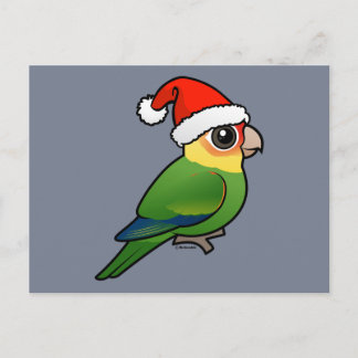 Postal Festiva Santa Carolina Parakeet