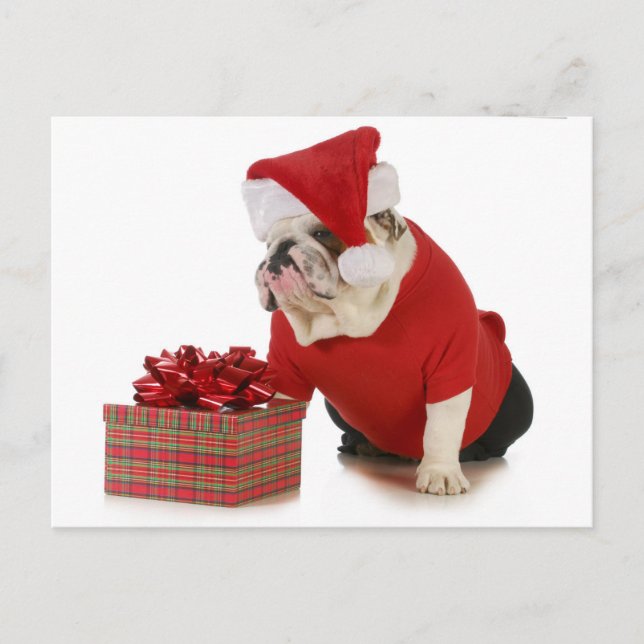 Postal Festiva Santa Dog - Bulldog Inglés Vestido Como Santa (Anverso)