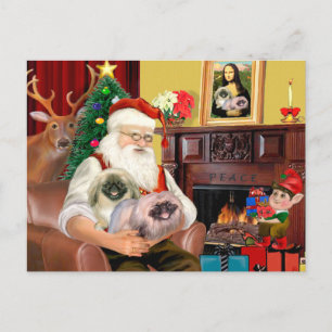 Postal Festiva Santa en casa - Pekinés (R) - Santa