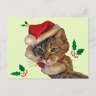 Postal Festiva Santa Kitty con Holly