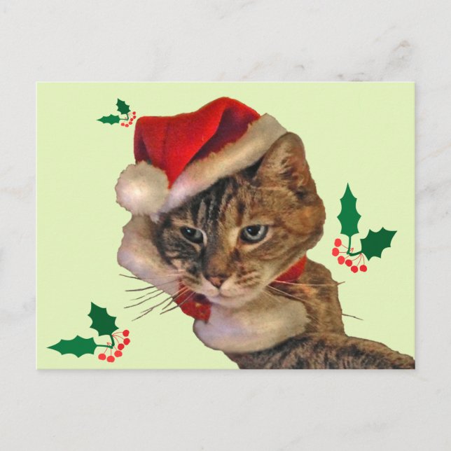 Postal Festiva Santa Kitty con Holly (Anverso)