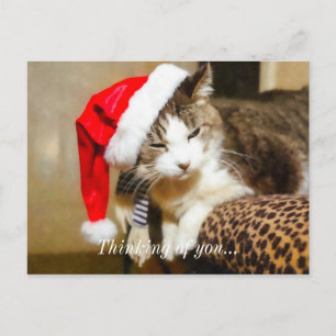 Postal Festiva Santa Kitty Painterly