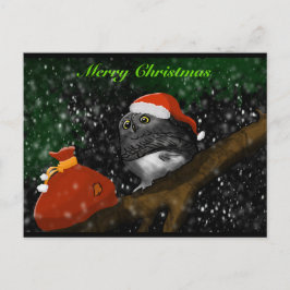 Postal Festiva Santa Owl Christmas Card