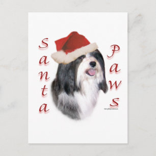 Postal Festiva Santa Paws de La Habana