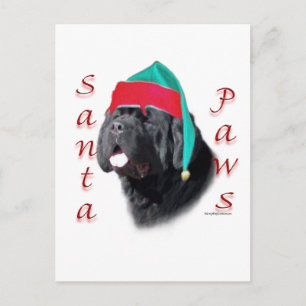 Postal Festiva Santa Paws de Newfoundland (blk)