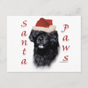 Postal Festiva Santa Paws de Portugal Water Dog