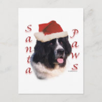 Santa Paws de Terranova (tierra)