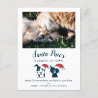 Santa Paws | Graciosa foto de un gato y un perro M
