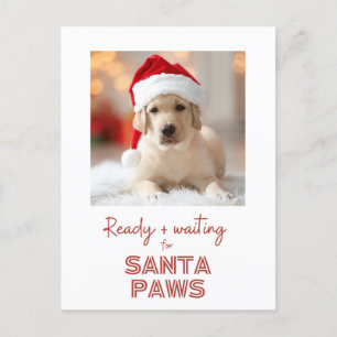 Postal Festiva Santa Paws - Navidades amantes de los perros
