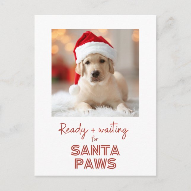 Postal Festiva Santa Paws - Navidades amantes de los perros