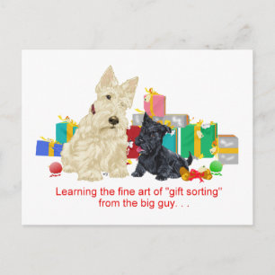 Postal Festiva Scottie Trigueño y vacaciones de cachorro