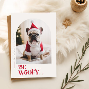 Postal Festiva Sé Perrofofo Divertido Perrito Mascota Arco Foto N