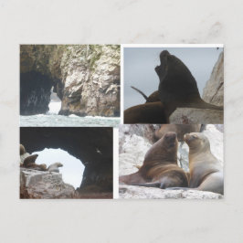 Postal Festiva Seals Peru Collage DIY Postcard