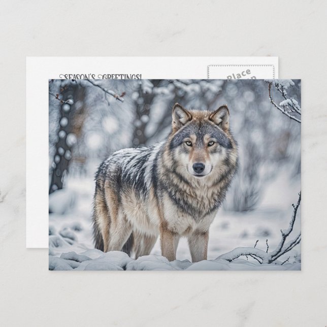 Postal Festiva Seasons Greeting Christmas Wolf in Snow (Anverso / Reverso)