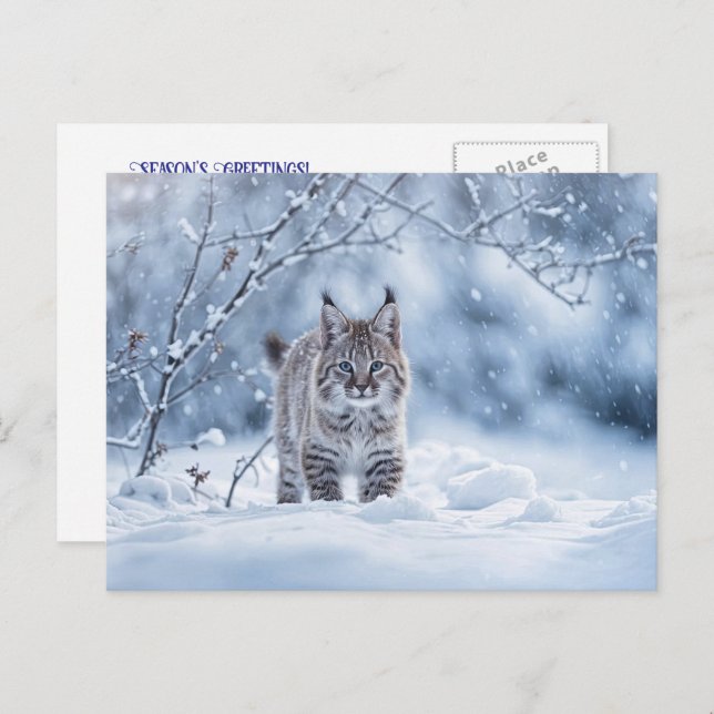 Postal Festiva Seasons Greeting Holiday Bobcat Snow (Anverso / Reverso)