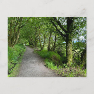 Postal Festiva Sendero boscoso en la Isla de Bute Escocia en un