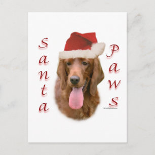 Postal Festiva Setter Santa Paws de Irlanda