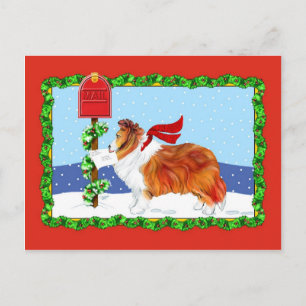 Postal Festiva Sheltie Navidades Mail Sable